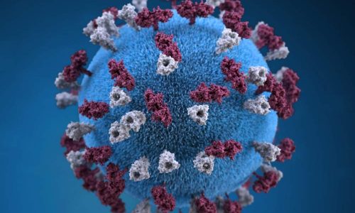 Soru-Cevap: Covid-19 Koronavirüs Hakkında Neler Biliyoruz ?